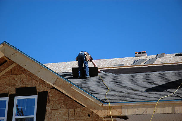 Best Roof Moss and Algae Removal  in Laymantown, VA